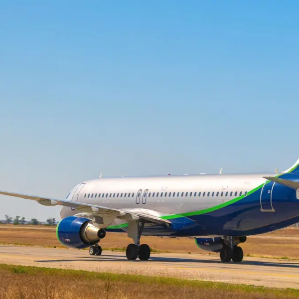 Flight to India: Essential Tips for Stress-Free Travel Planning
