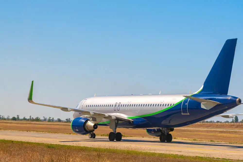 Flight to India: Essential Tips for Stress-Free Travel Planning